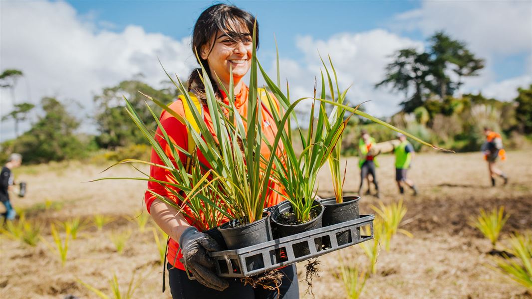 Person carrying plants in pots. 