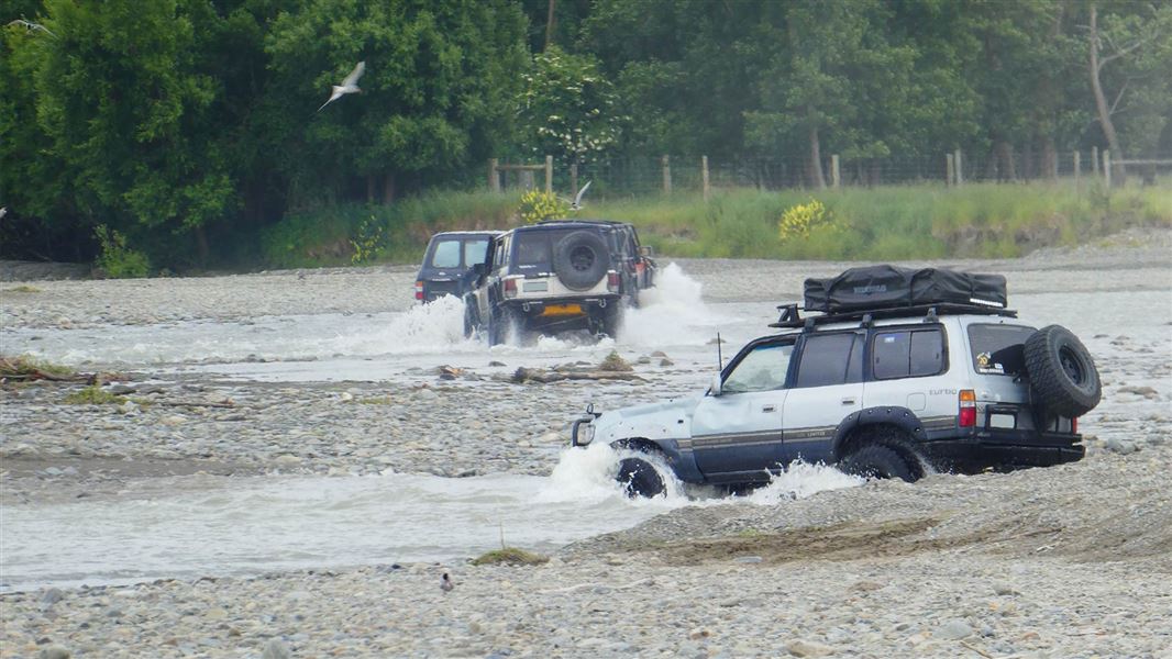 Birds responding to vehicles crate day Ashley River