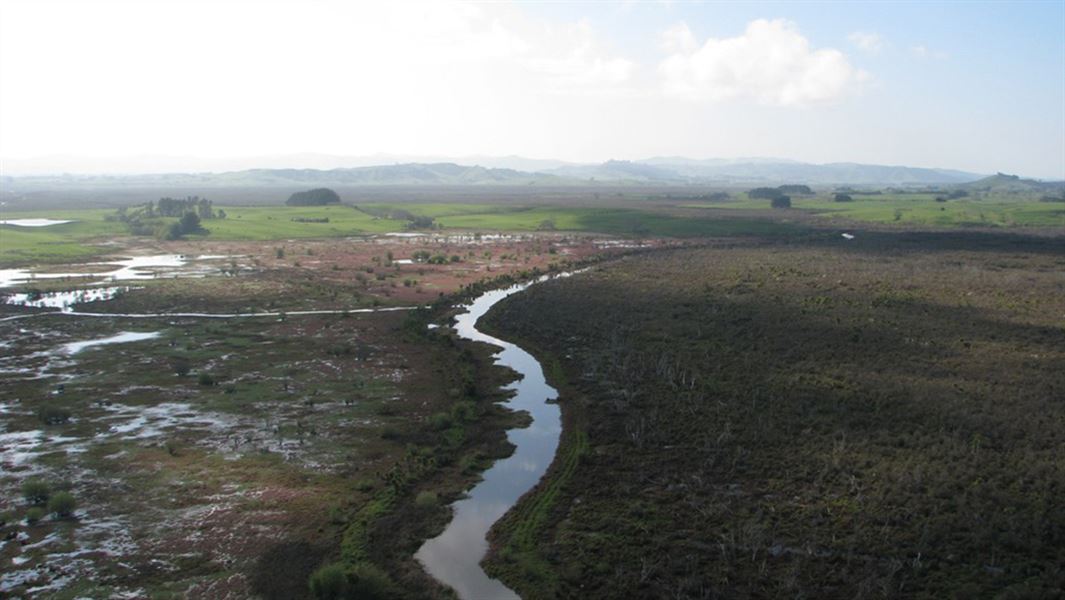 An aerial shot of a long stretching wetland