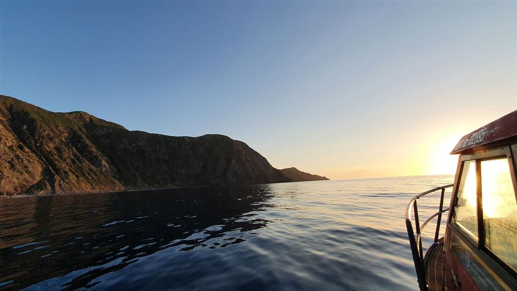 Boat on evening patrol at sea facing the sunset with Kapiti Island in the distance. 