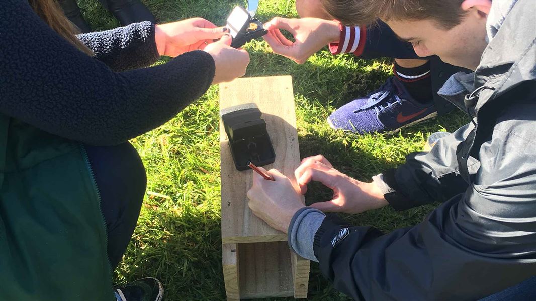 Hobsonville Point students checking a trap. 