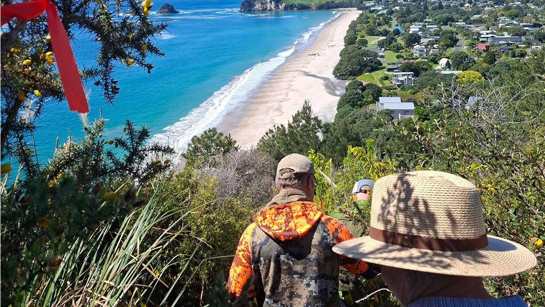 People walking on new track marked with red tape with a view out to a white sand beach. 
