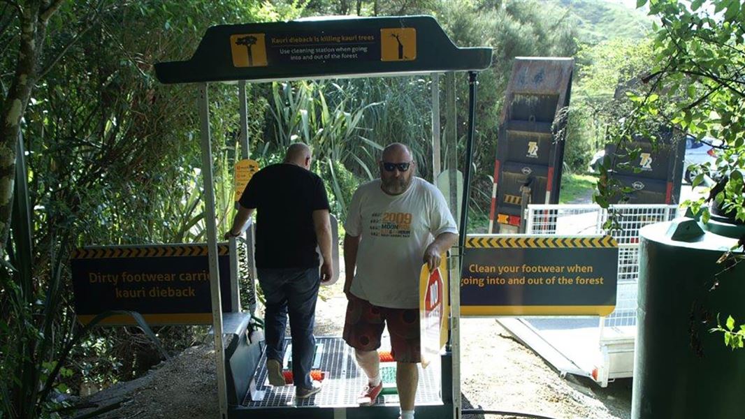 People using kauri dieback cleaning station. 