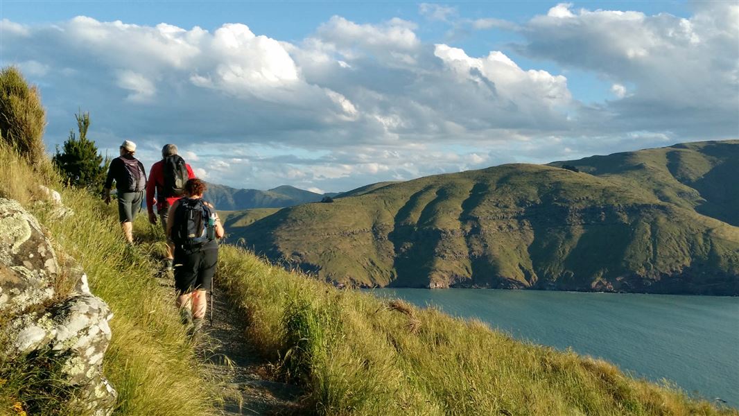 Godley Head loop track.