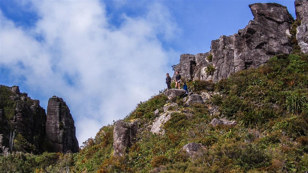 Walkers in Kauaeranga Valley. 