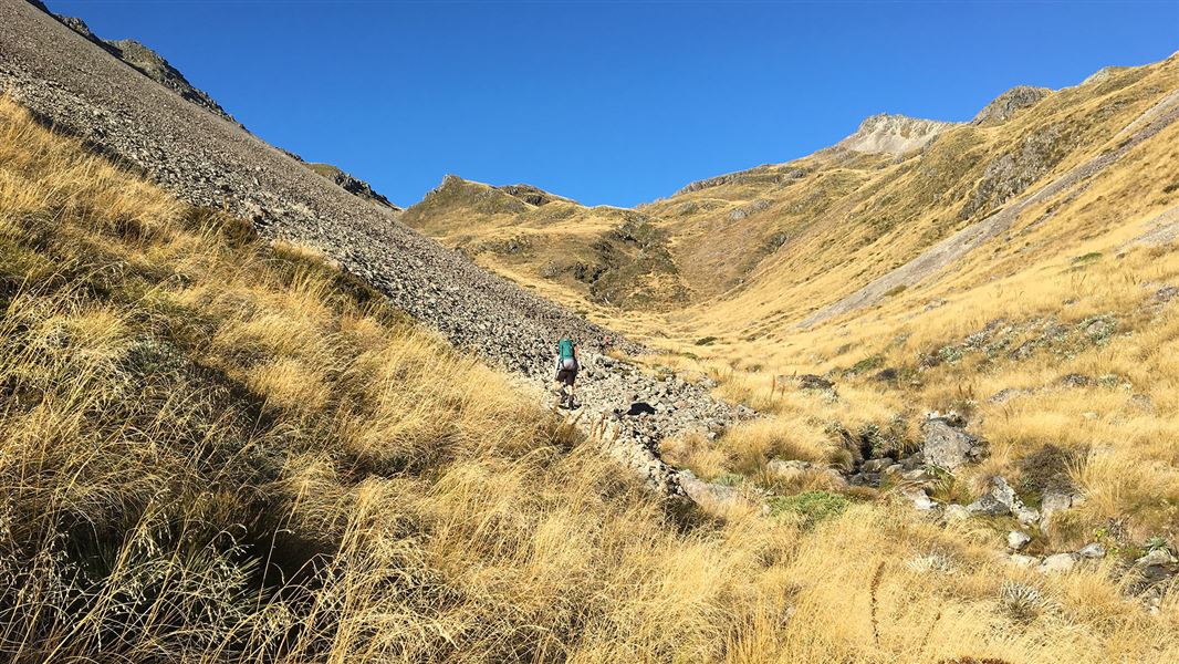 People tramping on grassy hills.