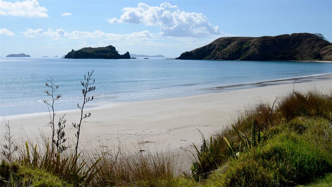 Looking along the beach at Opito Bay, and out towards the islands and pā..