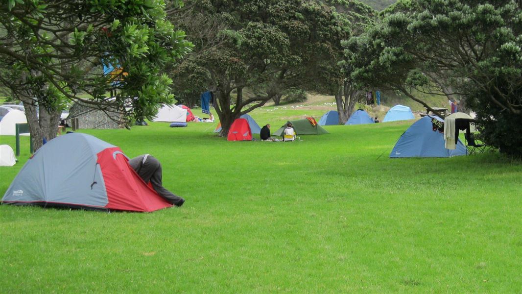 Several tents scatted across a flat green area with trees.