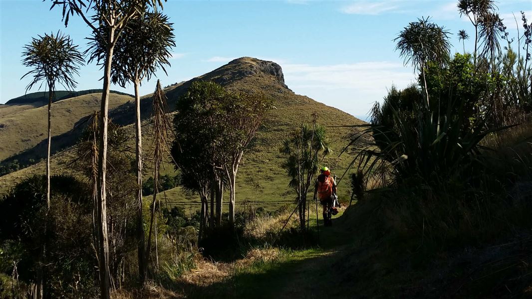 Packhorse Hut to Mt Herbert/Te Ahu Patiki summit Walking and tramping