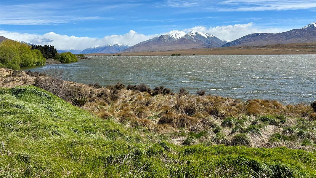 View from the Lake Clearwater Circuit. 