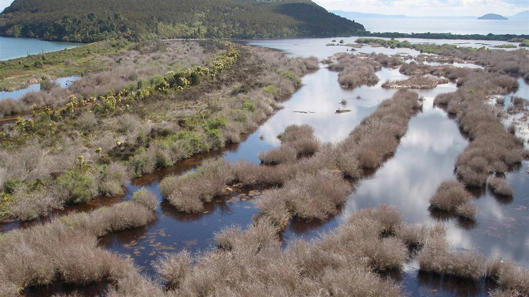 Aerial photo of the Waimarino section of the Te Matapuna Wetland. 