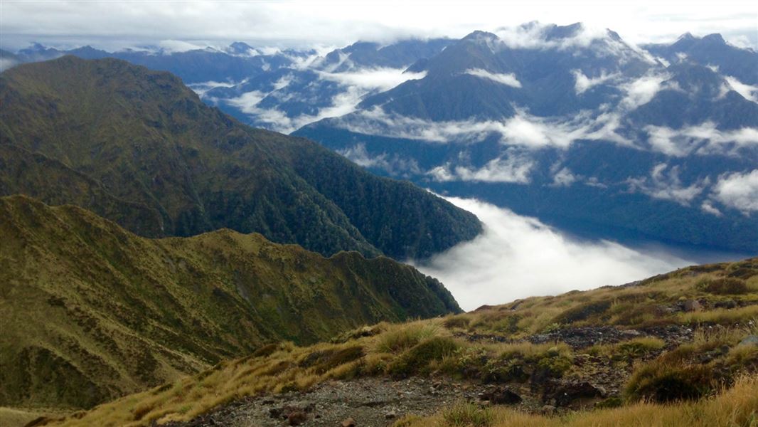 Carpark to Luxmore Hut Track