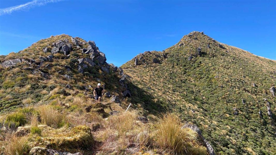 Tramper descends steep rocky ridge in tussock with blue sky in the background.