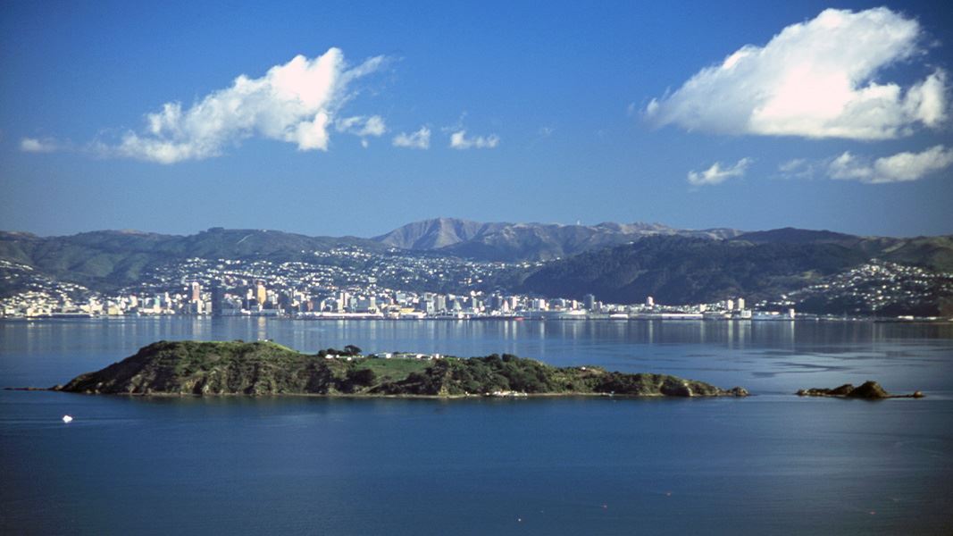 Matiu-Somes Island with Wellington City in the background, Wellington Harbour.