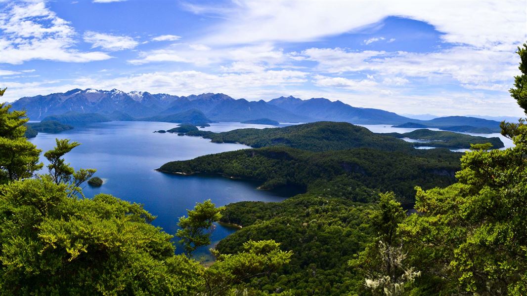 Lake Manapouri. 