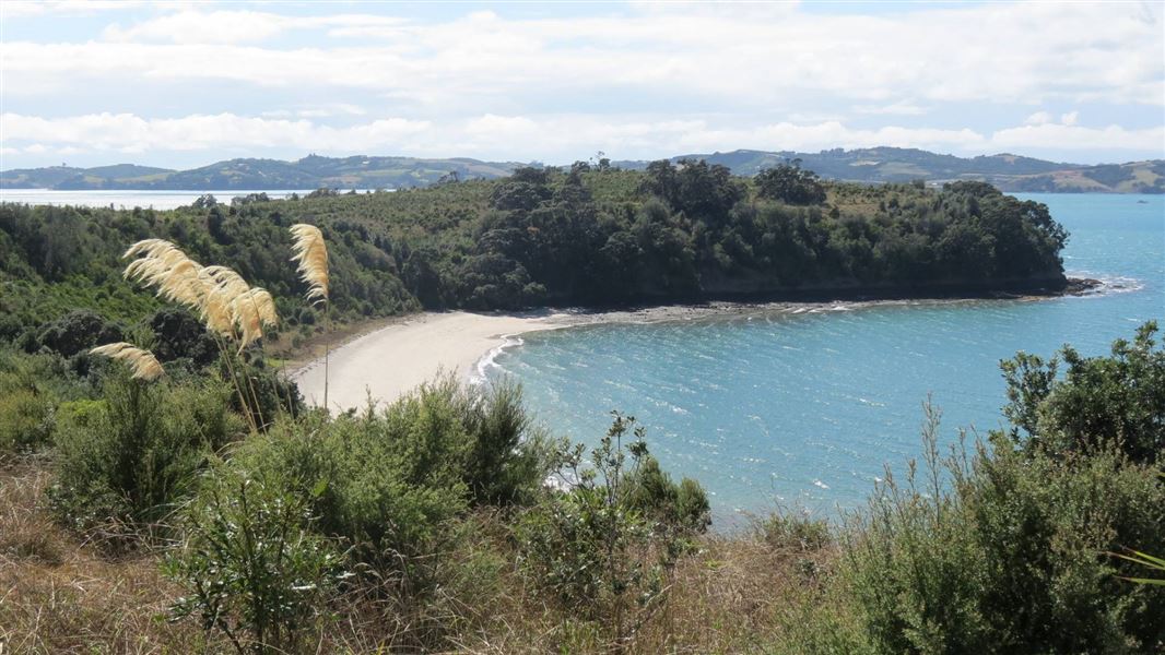 Motuihe Island