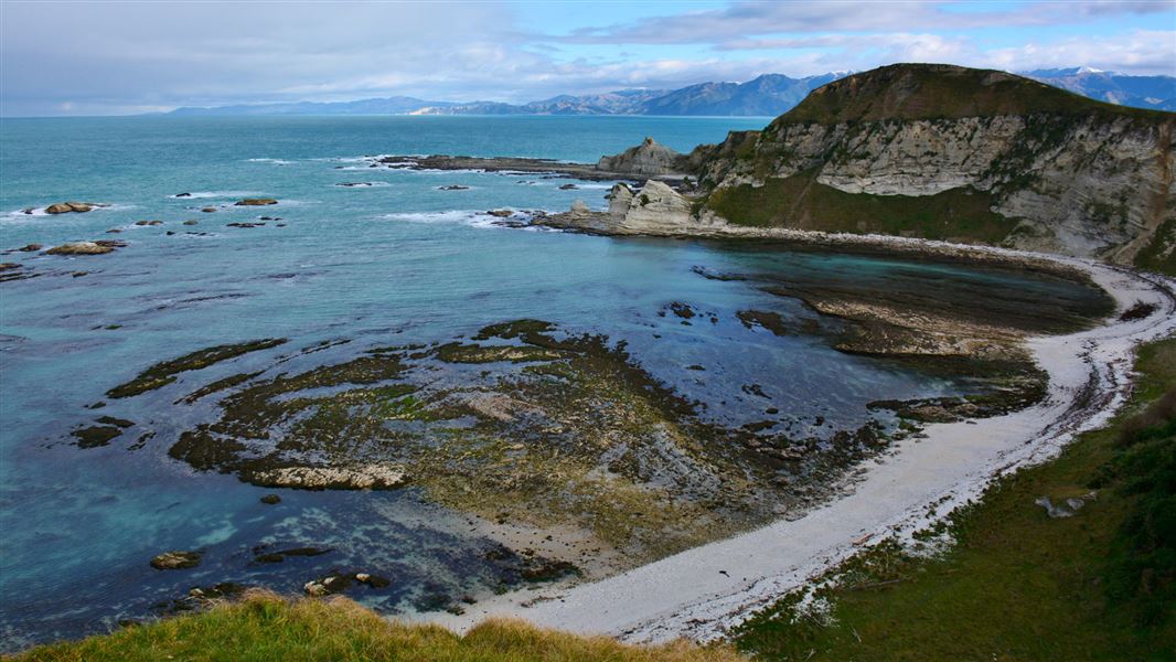 View from the Kaikoura Peninsula Walkway. 