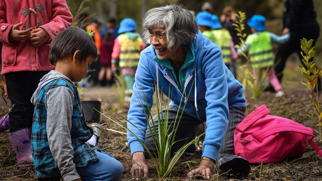 Grandmother and child plant a tree.