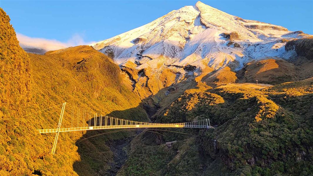 Suspension bridge on the Taranaki Maunga