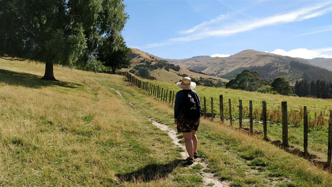 Kaituna valley to Packhorse hut walk.