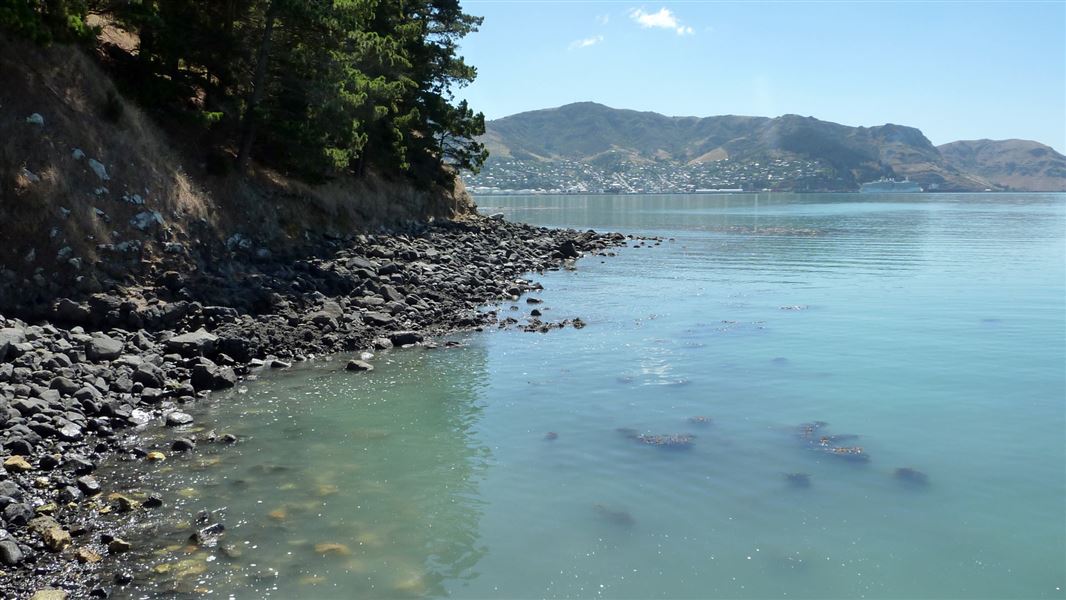 Quail Island Harbour. 