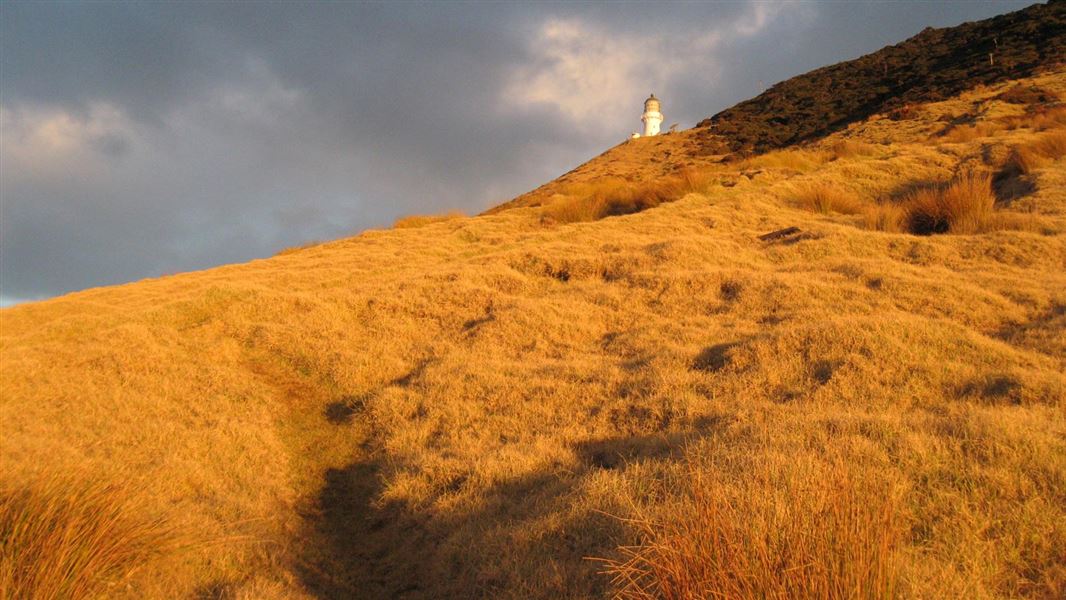 Cape Brett lighthouse. 