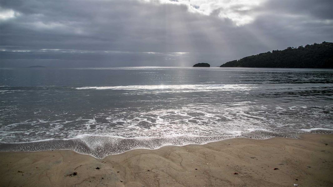 Maori Beach. 