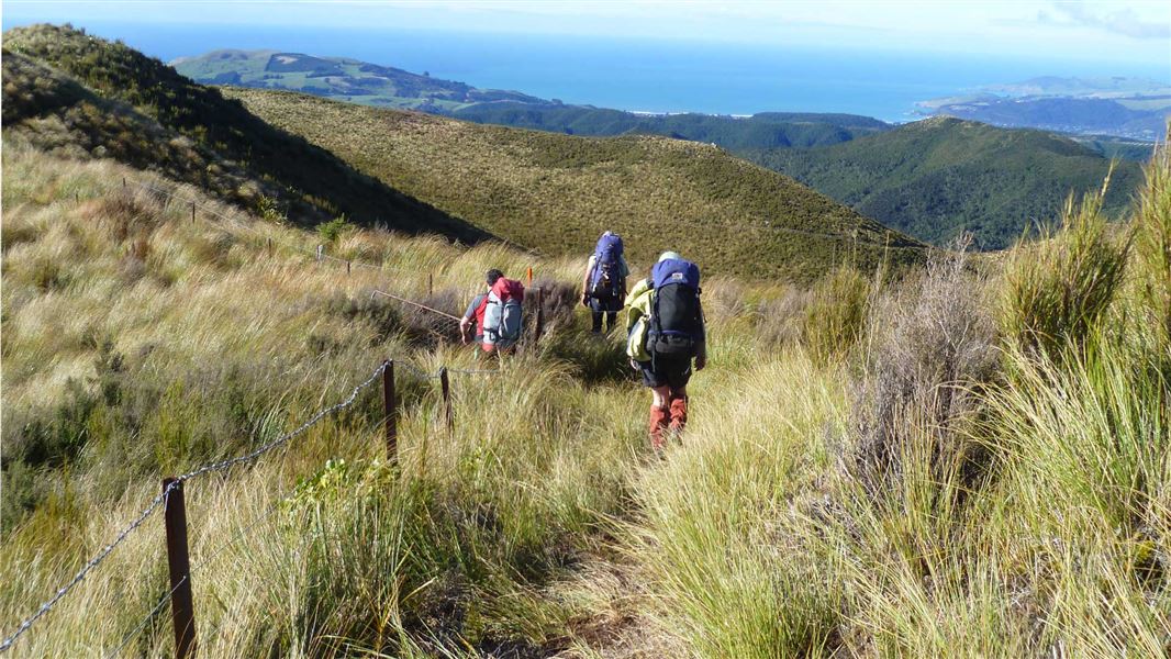 Silver Peaks routes: Silverpeaks Scenic Reserve, Otago region