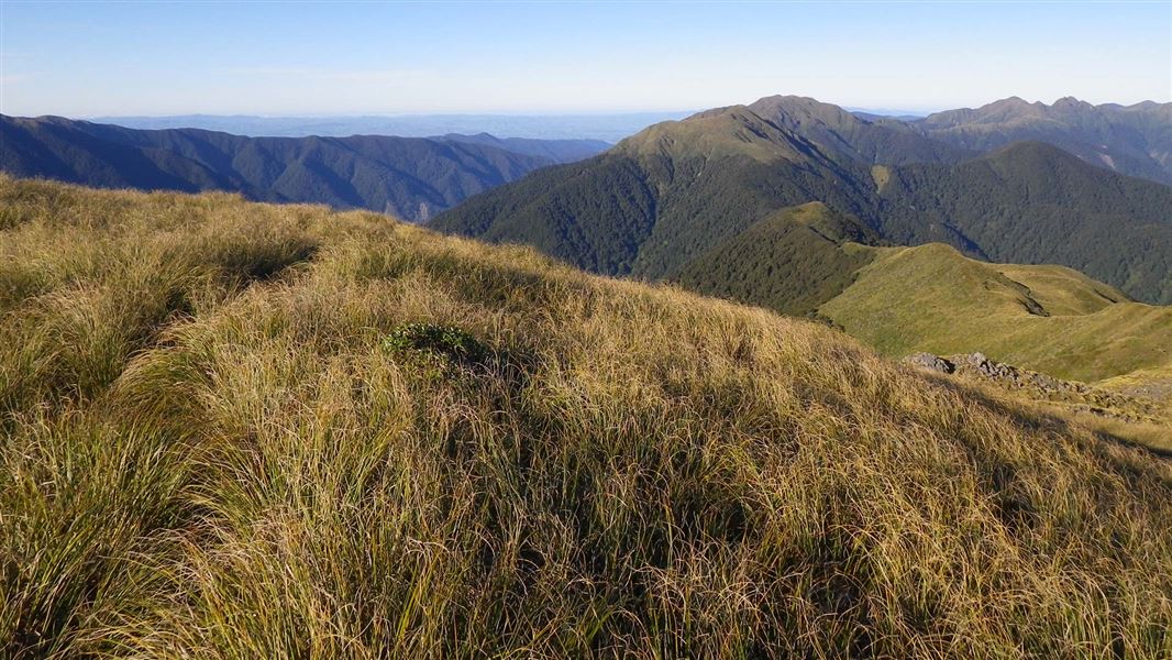 The Tararua Range. 