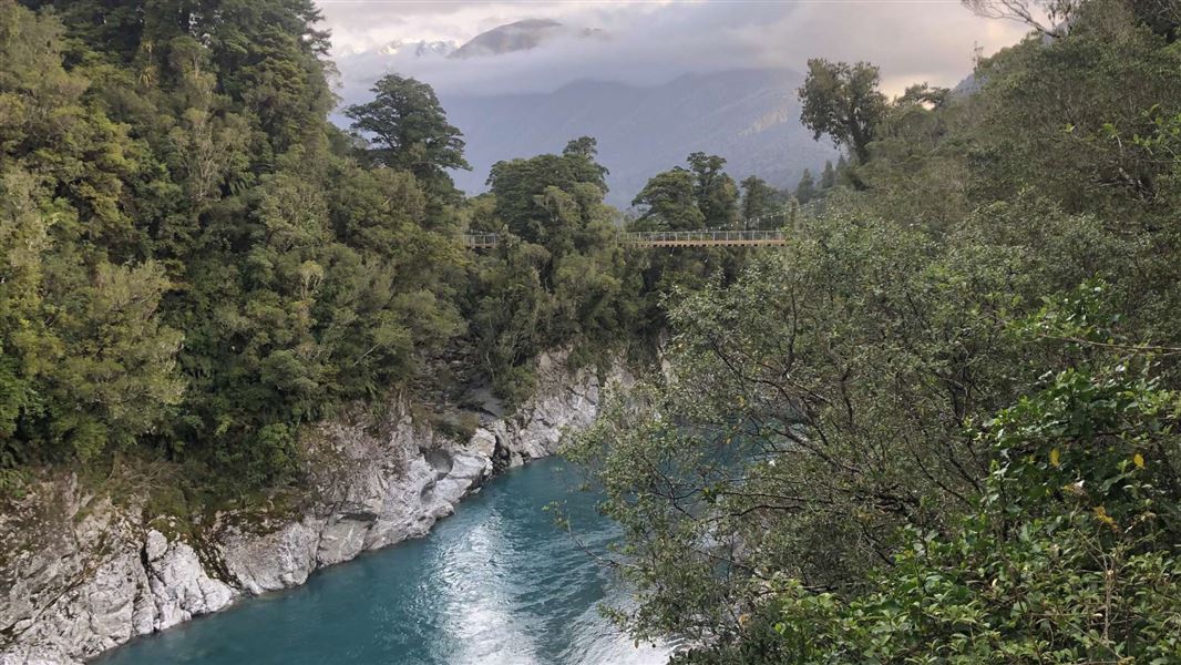 Hokitika  Gorge Walk. 