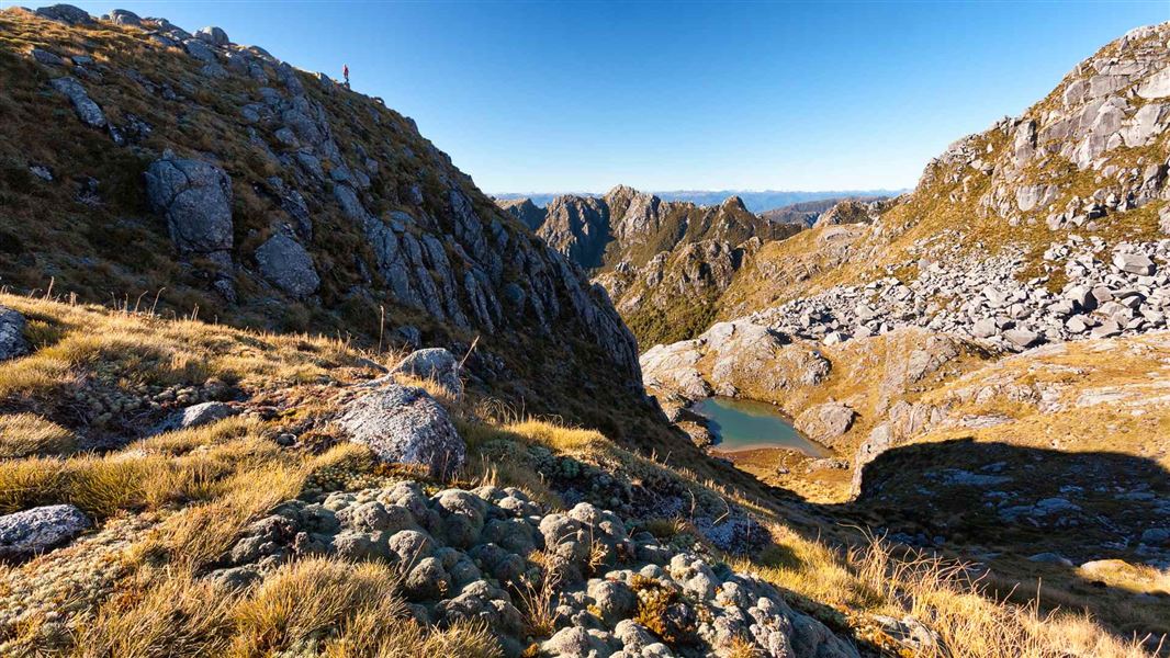 Townson Tarn lake and Buckland Peaks in Paparoa National Park