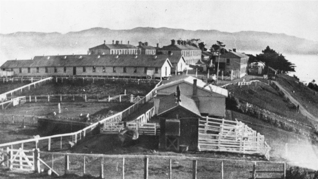 Camp on Matiu/Somes Island during WWI . 