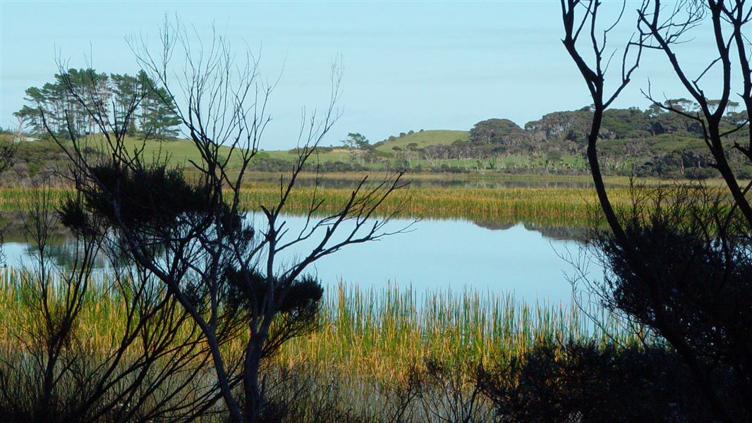 Lake Ngatu. 