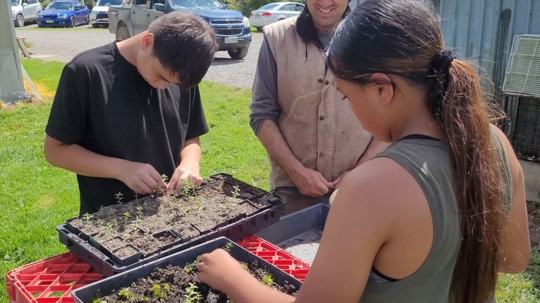 Two children planting seedlings into a tray.