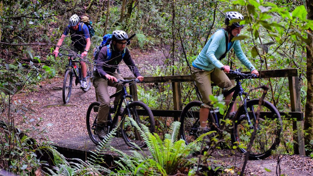 Biking in Kaimanawa Forest Park.