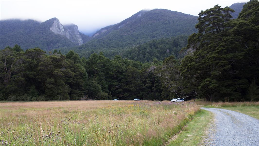 Grassy area with driveway and hills in background.