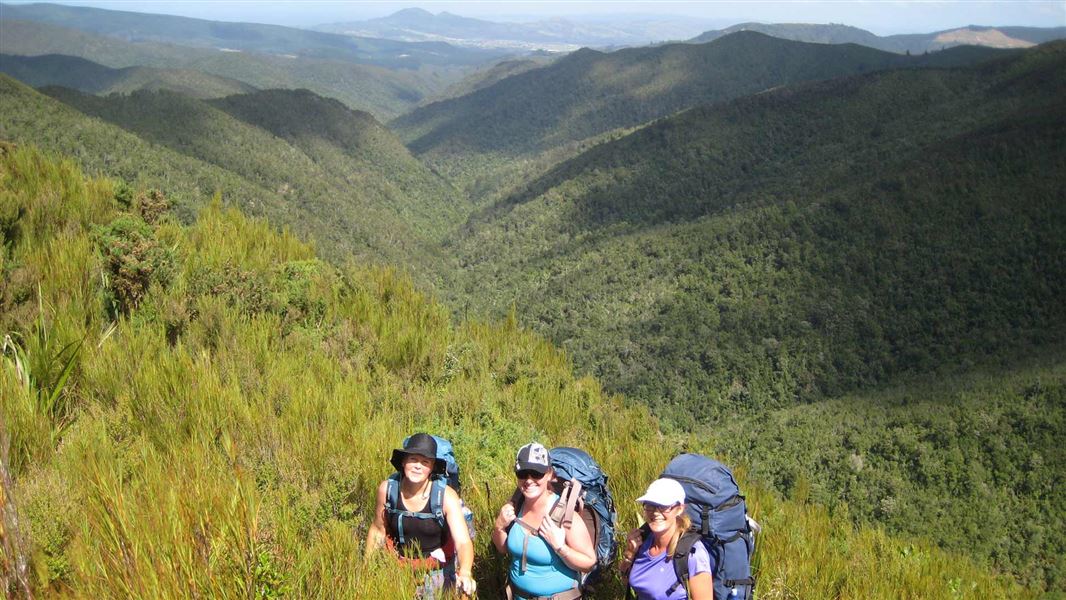 Views in Silver Peaks Scenic Reserve