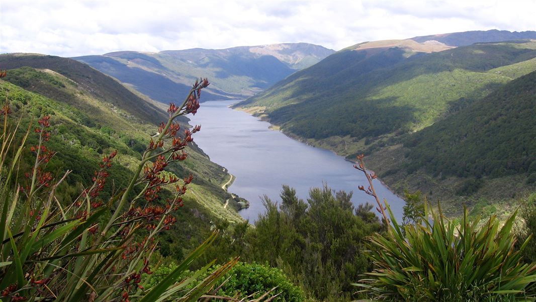 Cobb Reservoir. 