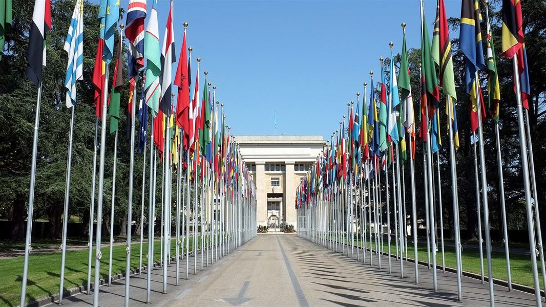 Two rows of flags line a driveway to a white stone building.