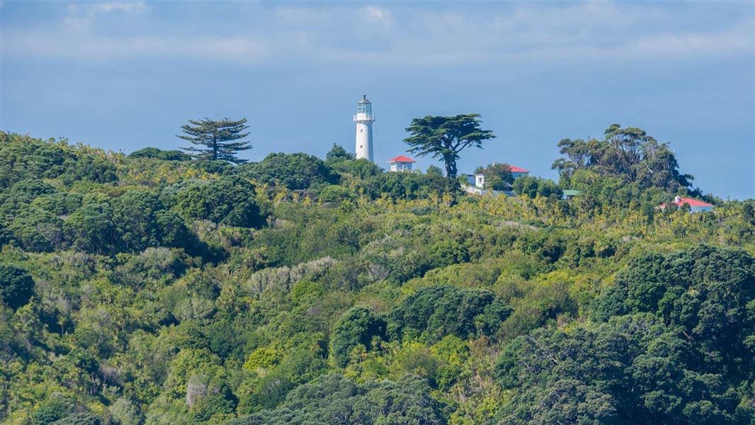 Looking towards the historic lighthouse on Tiritiri Matangi. 