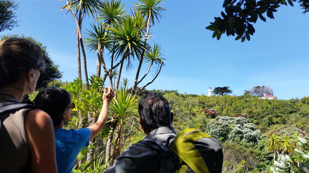 Looking towards the historic lighthouse on Tiritiri Matangi. 