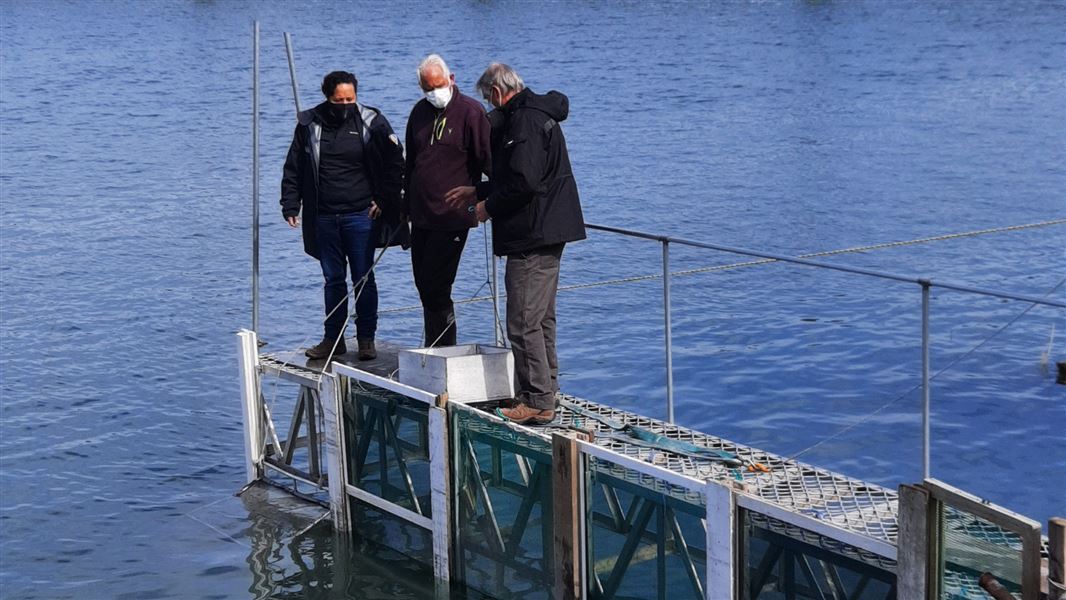 Three people standing on small pier over water.