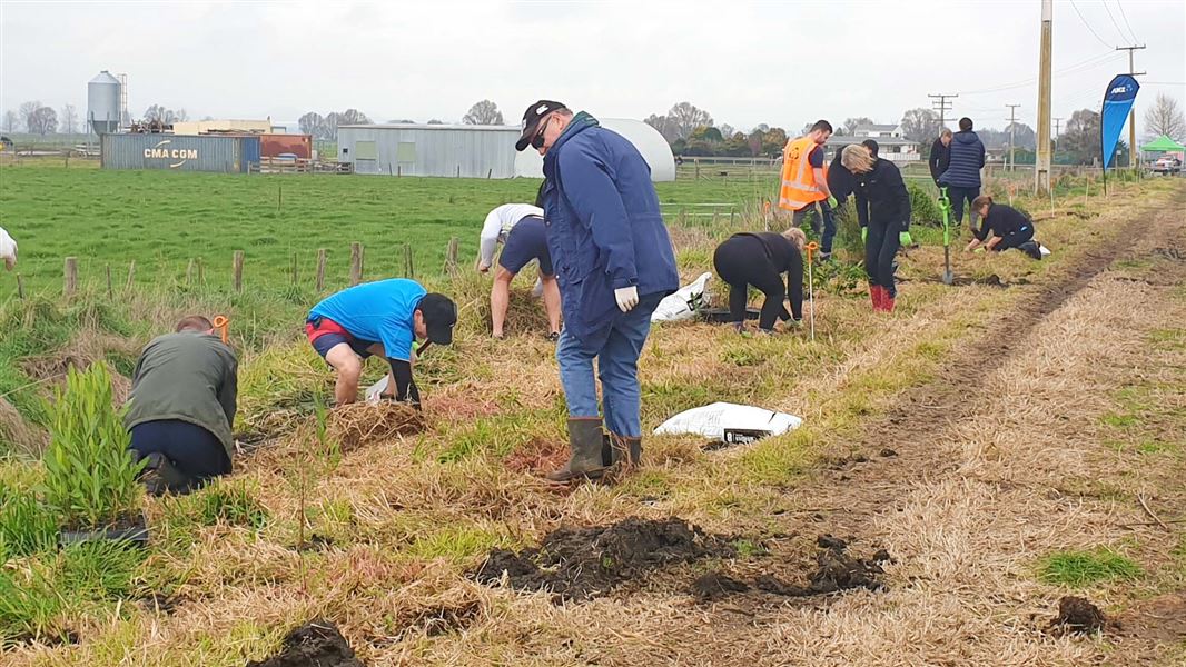 A group of people planting.