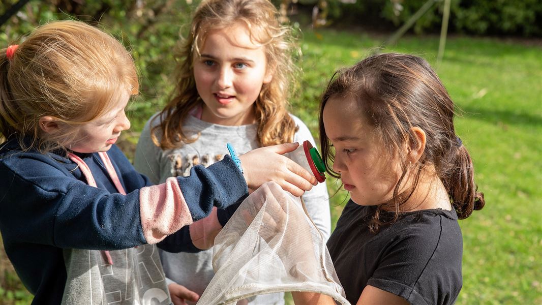 Three children looking at small container in grassy area.