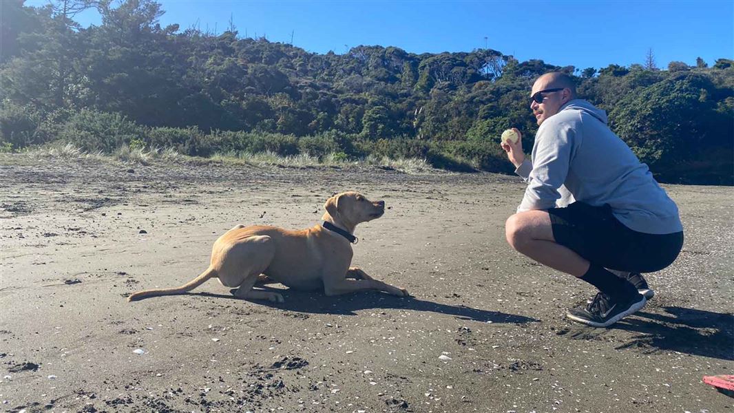 A dog sits obediantely waiting for its own to throw a ball