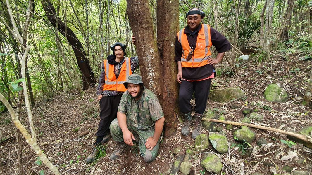 Work crew in the forest. 