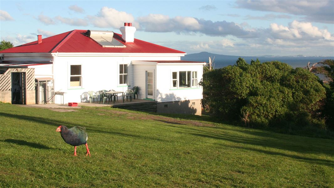 Tiritiri Matangi Island bunkhouse. 