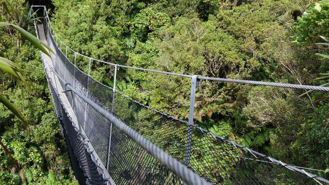 Waingongoro swing bridge. 