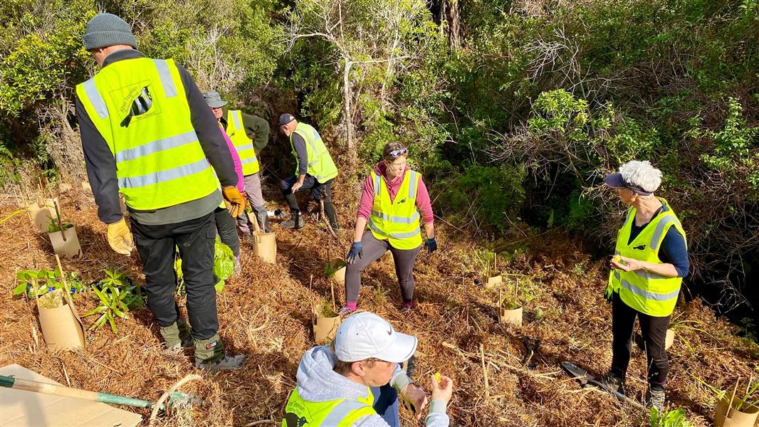 Group of volunteers outside. 