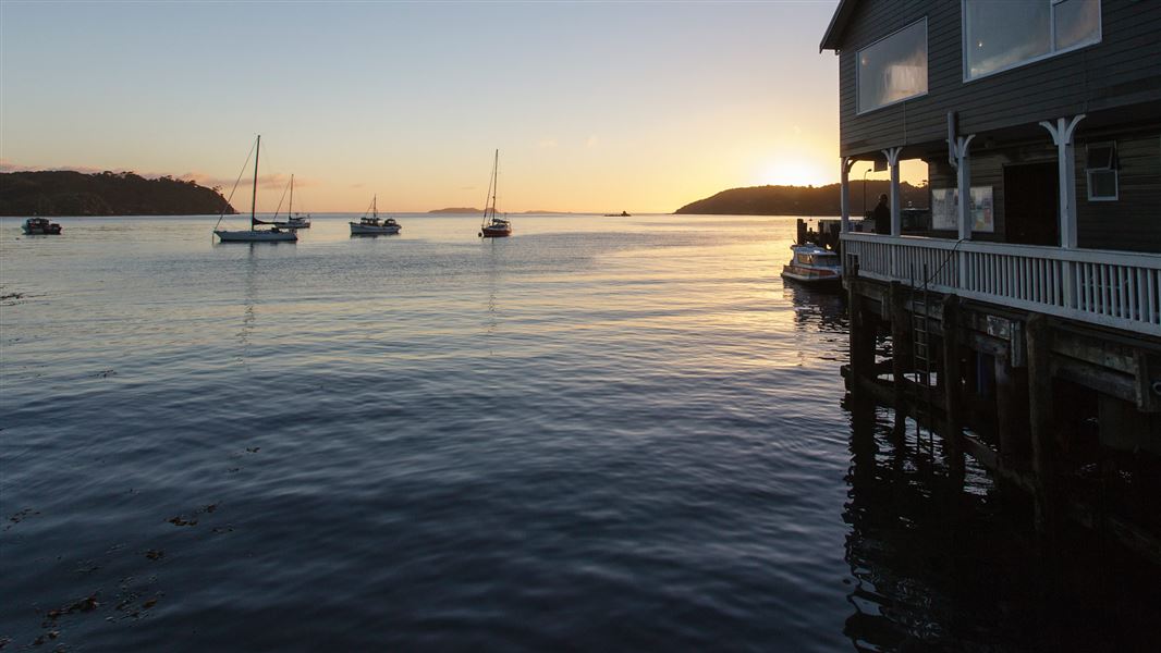 Oban, Stewart Island